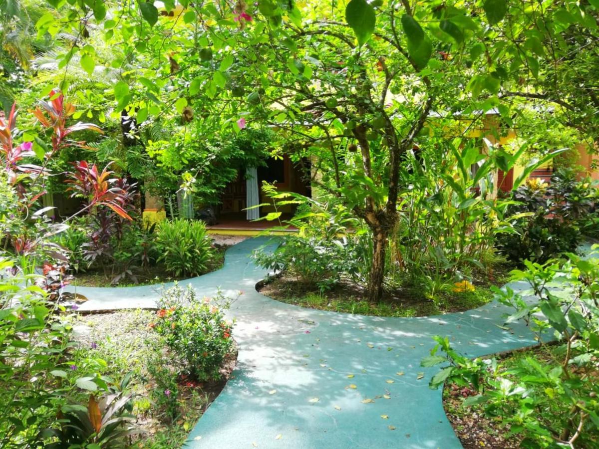 Villas Verdes Sámara Екстериор снимка